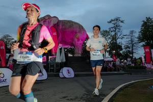 BIB: 
                            <button type="button" onclick="openModal(26529625)" class="btn btn-primary btn-sm float-right btn-popup" data-toggle="modal" data-target=".modal-high-quality">
                        <i class="fas fa-shopping-cart"></i> Add to Cart
                    </button>
                                            <button type="button" onclick="isThisMe(26529625, true)" class="btn btn-success btn-sm float-right btn-popup btn-isme hidden" data-toggle="tooltip" data-placement="bottom" title="นี่คือรูปของคุณใช่ไหม คลิกที่นี่เพื่อเอาเข้าอัลบั้ม">
                        <i class="fas fa-plus"></i> Add to album
                    </button>
                    <button type="button" onclick="isThisMe(26529625, false)" class="btn btn-warning btn-sm float-right btn-popup btn-isnotme hidden">
                        <i class="fas fa-ban"></i> Remove from album
                    </button>